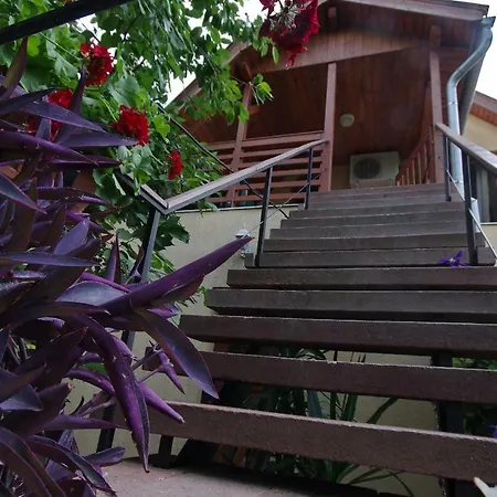 Krisztina Apartman Apartment *