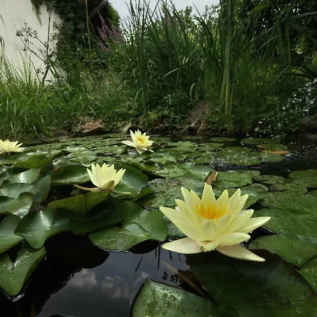 Krisztina Apartman Gyula